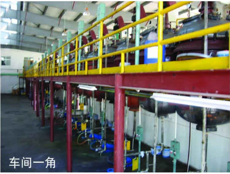 Pigment Preparation Factory